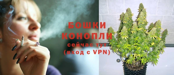СК Новодвинск