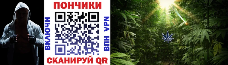 Канабис SATIVA & INDICA blacksprut ссылка Пролетарск